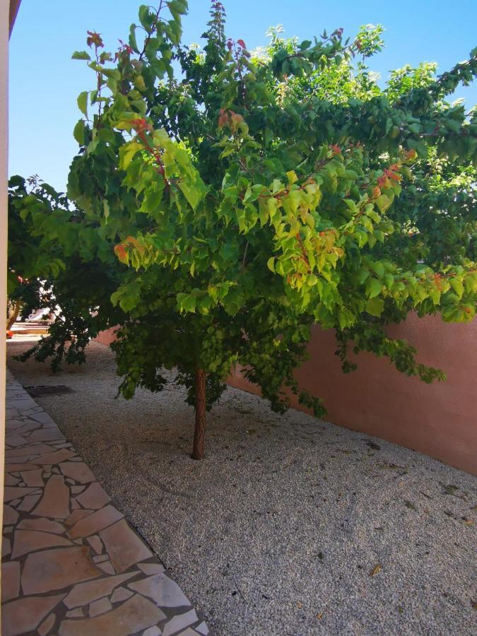 Gites Avec Grande Piscine Et Sa Terrasse Privative Bernis Zewnętrze zdjęcie